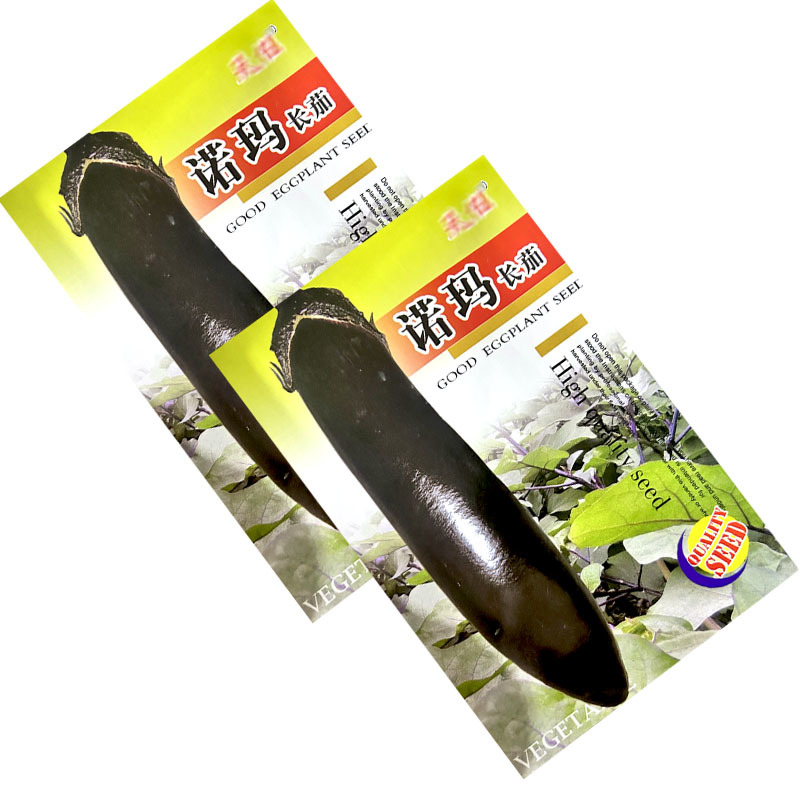 诺玛长茄种子紫黑光亮不易弯曲无青头顶抗病采收期长