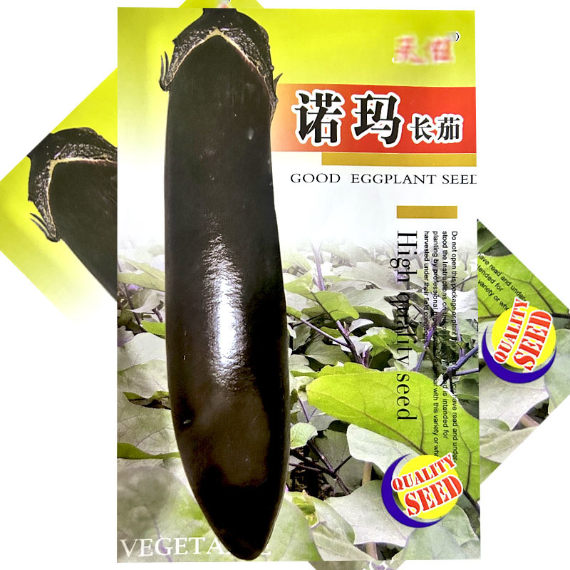 诺玛长茄种子紫黑光亮不易弯曲无青头顶抗病采收期长