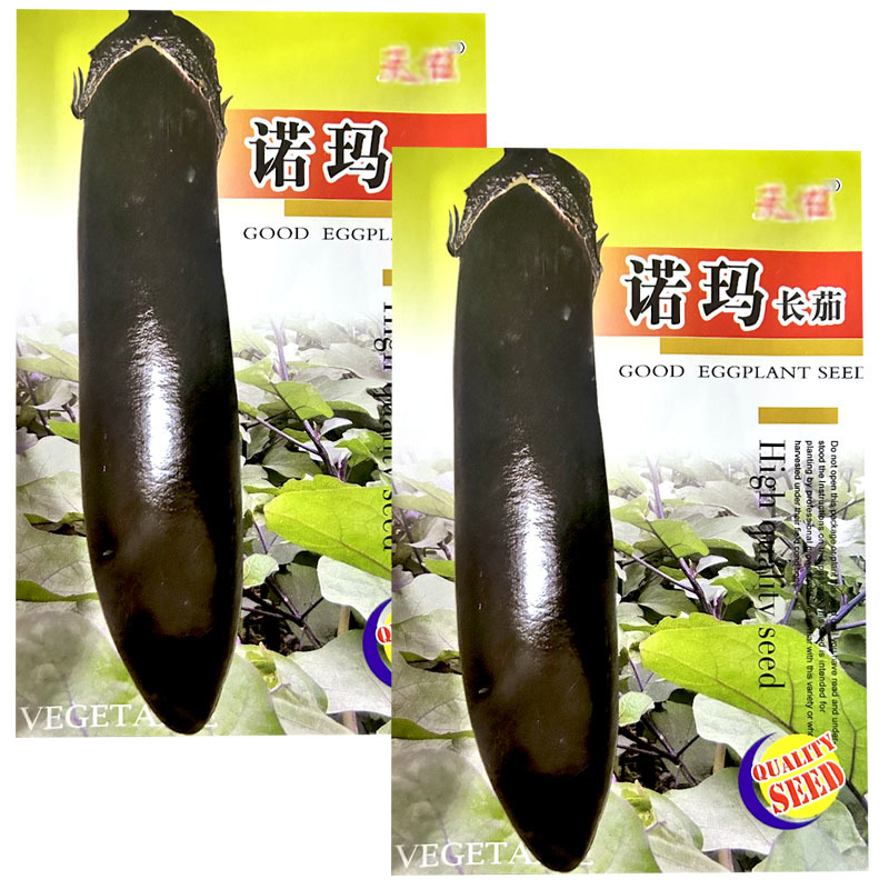 诺玛长茄种子紫黑光亮不易弯曲无青头顶抗病采收期长