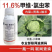 甲维盐氯虫苯甲酰胺水稻肉虫稻纵卷叶螟虫卵全打农药杀虫剂
