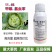 甲维盐氯虫苯甲酰胺水稻肉虫稻纵卷叶螟虫卵全打农药杀虫剂