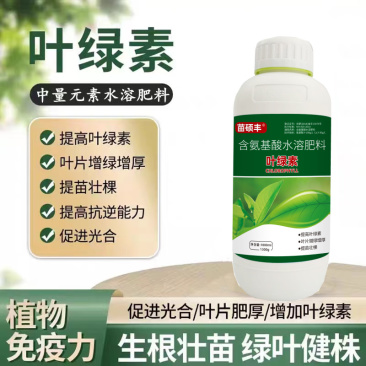 苗硕丰叶绿素叶面肥氨基酸肥料喷施营养液叶绿素中量元素水溶
