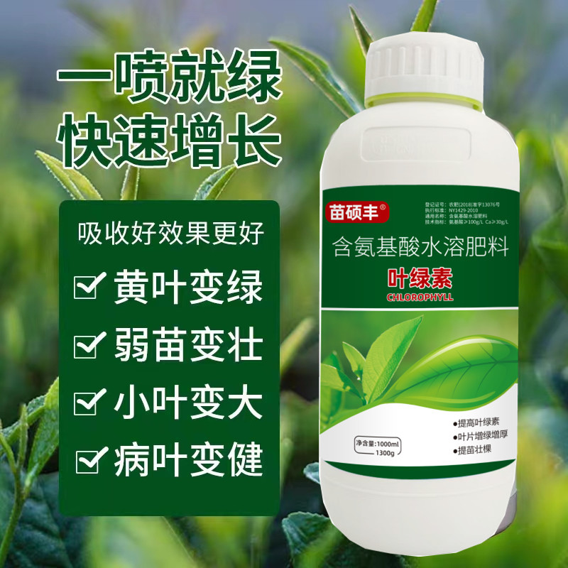 苗硕丰叶绿素叶面肥氨基酸肥料喷施营养液叶绿素中量元素水溶