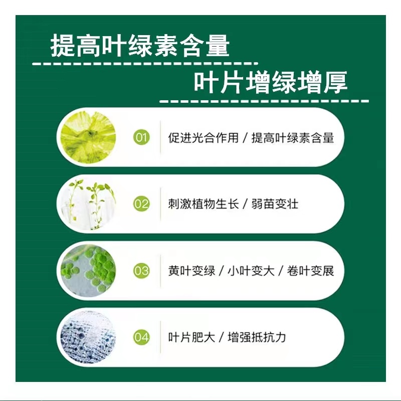 苗硕丰叶绿素叶面肥氨基酸肥料喷施营养液叶绿素中量元素水溶