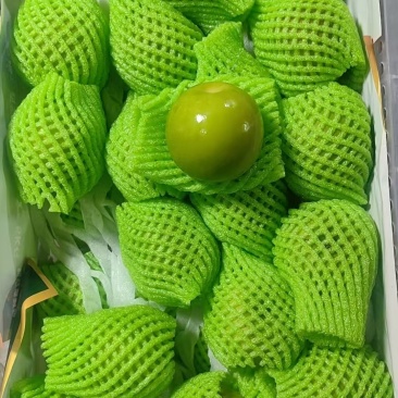福建漳州牛奶枣口感脆甜皮薄肉厚自家货源现场挑货满意为止