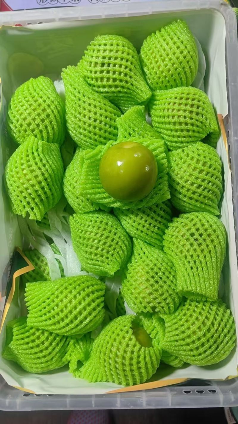 福建漳州牛奶枣口感脆甜皮薄肉厚自家货源现场挑货满意为止