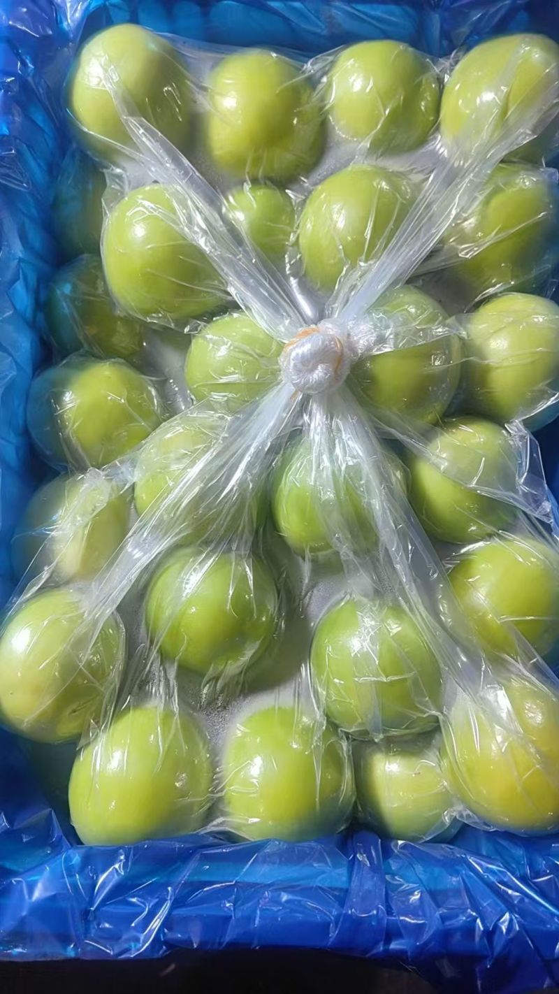福建漳州牛奶枣口感脆甜皮薄肉厚自家货源现场挑货满意为止