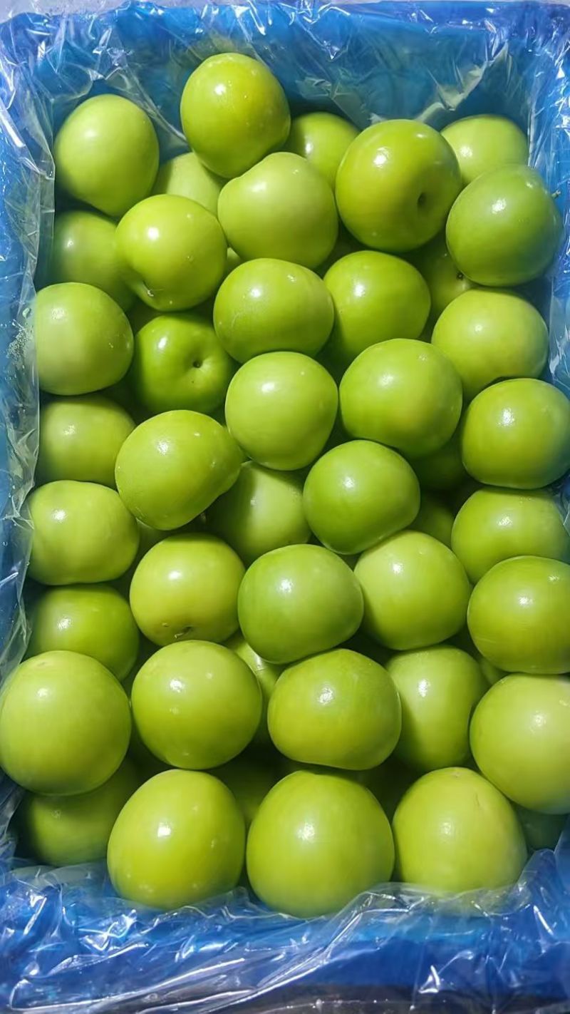 福建漳州牛奶枣口感脆甜皮薄肉厚自家货源现场挑货满意为止