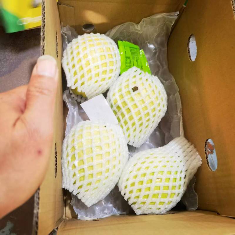 福建芭乐番石榴大小规格齐全提供纸箱泡沫箱等包装承接电商
