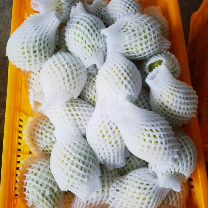 福建芭乐番石榴大小规格齐全提供纸箱泡沫箱等包装承接电商
