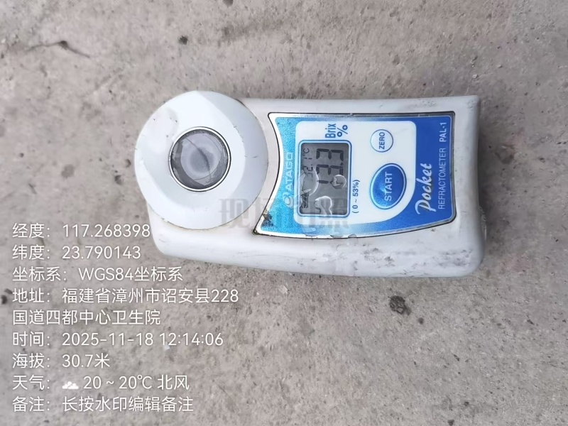 福建漳州牛奶枣口感脆甜皮薄肉厚自家货源现场挑货满意为止