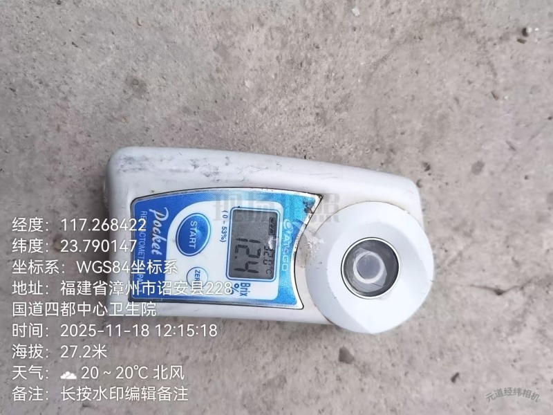 福建漳州牛奶枣口感脆甜皮薄肉厚自家货源现场挑货满意为止
