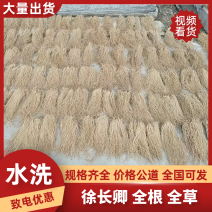 徐长卿全根全草捋顺无土无杂质无地膜，规格齐全，代发全国