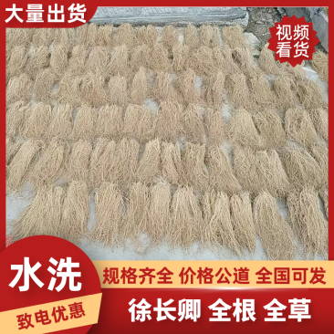 徐长卿全根全草捋顺无土无杂质无地膜，规格齐全，代发全国