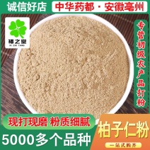 柏子仁粉散装批发零售新货柏子仁源头货源量大可代发价优柏子