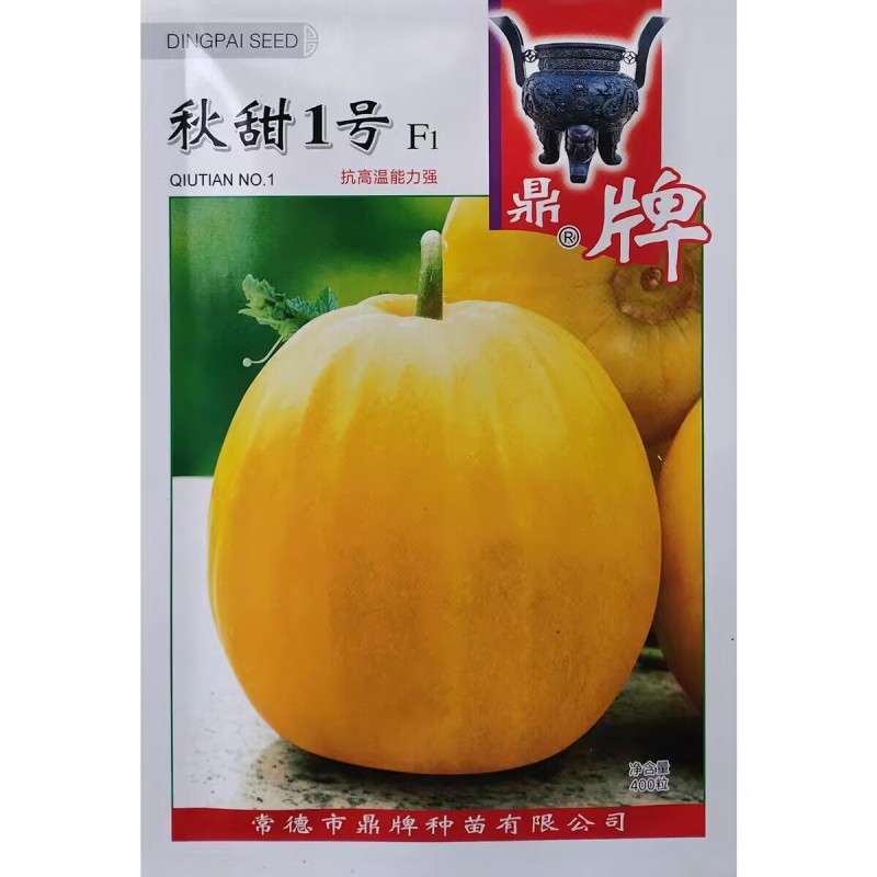 秋甜1号甜瓜种子抗高温中早熟果皮金黄亮丽丑八怪甜瓜种子