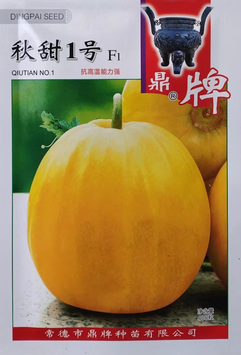 秋甜1号甜瓜种子抗高温中早熟果皮金黄亮丽丑八怪甜瓜种子