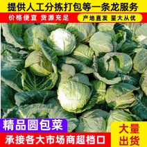 精品圆甘蓝，颜色翠绿，包装美观，价格优美，货源充足！