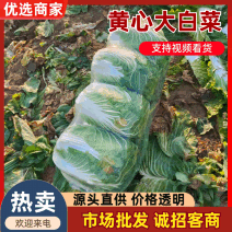 【热卖中】湖北优质黄心大白菜无虫无病无烧心量大从优批发