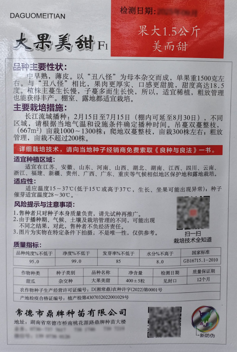 大果美甜丑八怪甜瓜种子早熟薄皮黄皮肉厚甜脆糖度高