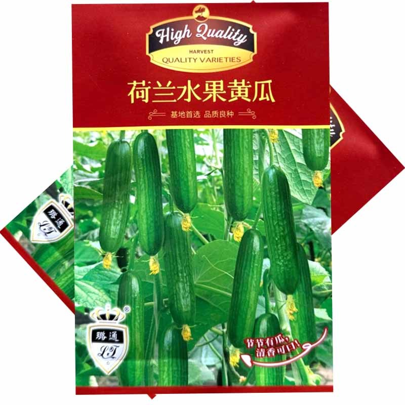 荷兰水果黄瓜种子全雌短棒无刺小黄瓜种子肉脆甜节间短瓜码密