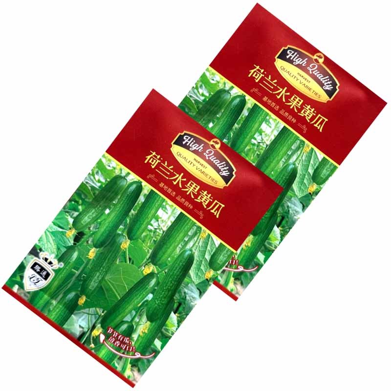 荷兰水果黄瓜种子全雌短棒无刺小黄瓜种子肉脆甜节间短瓜码密