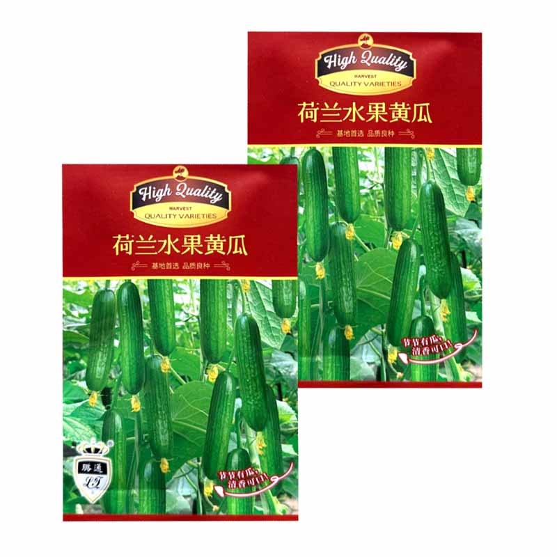 荷兰水果黄瓜种子全雌短棒无刺小黄瓜种子肉脆甜节间短瓜码密