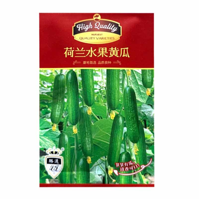 荷兰水果黄瓜种子全雌短棒无刺小黄瓜种子肉脆甜节间短瓜码密