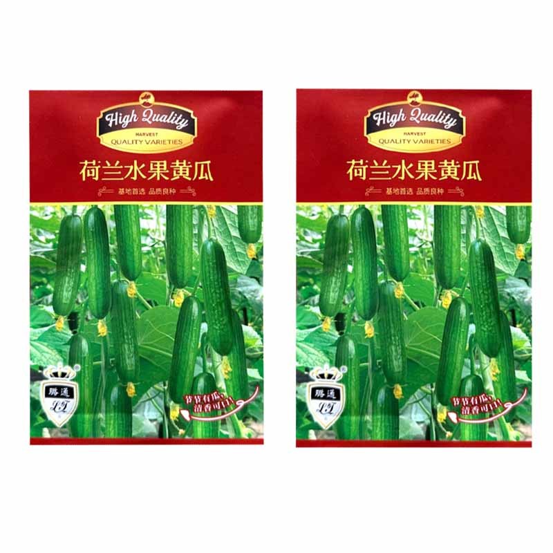 荷兰水果黄瓜种子全雌短棒无刺小黄瓜种子肉脆甜节间短瓜码密