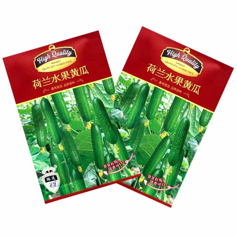 荷兰水果黄瓜种子全雌短棒无刺小黄瓜种子肉脆甜节间短瓜码密