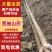 西施山药精品山药地头装车，年产量五十万斤，需要联系