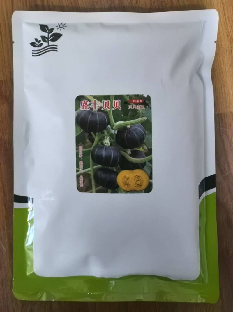 盛丰贝贝南瓜种子深墨绿色粉面高产贝贝小南瓜种子