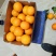 赣南脐橙橙子🍊产地直销量大从优可视频看货对接全国电商