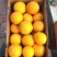 赣南脐橙橙子🍊产地直销量大从优可视频看货对接全国电商