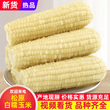 白糯玉米真空包装货源充足，产地直发欢迎客商来电