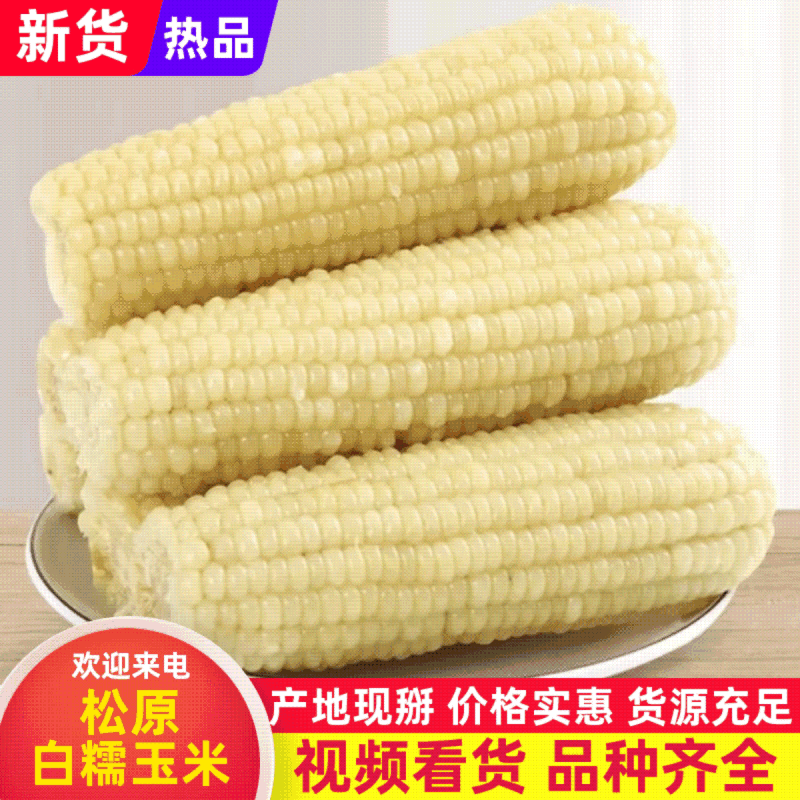白糯玉米真空包装货源充足，产地直发欢迎客商来电