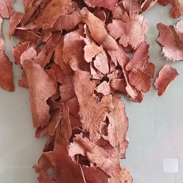 正宗野生茯苓干片精品土茯苓红肉干片欢迎联系