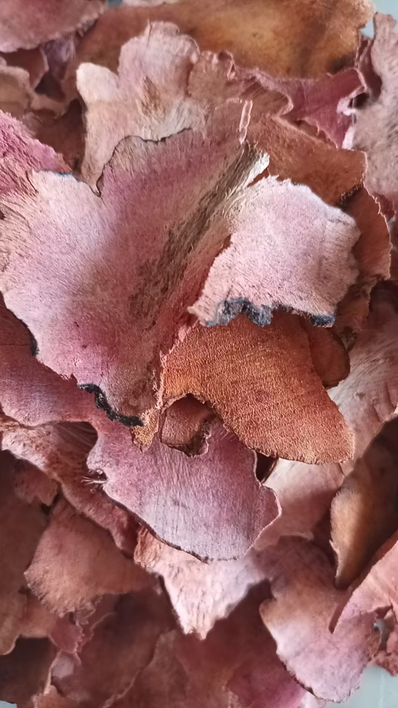 正宗野生茯苓干片精品土茯苓红肉干片欢迎联系