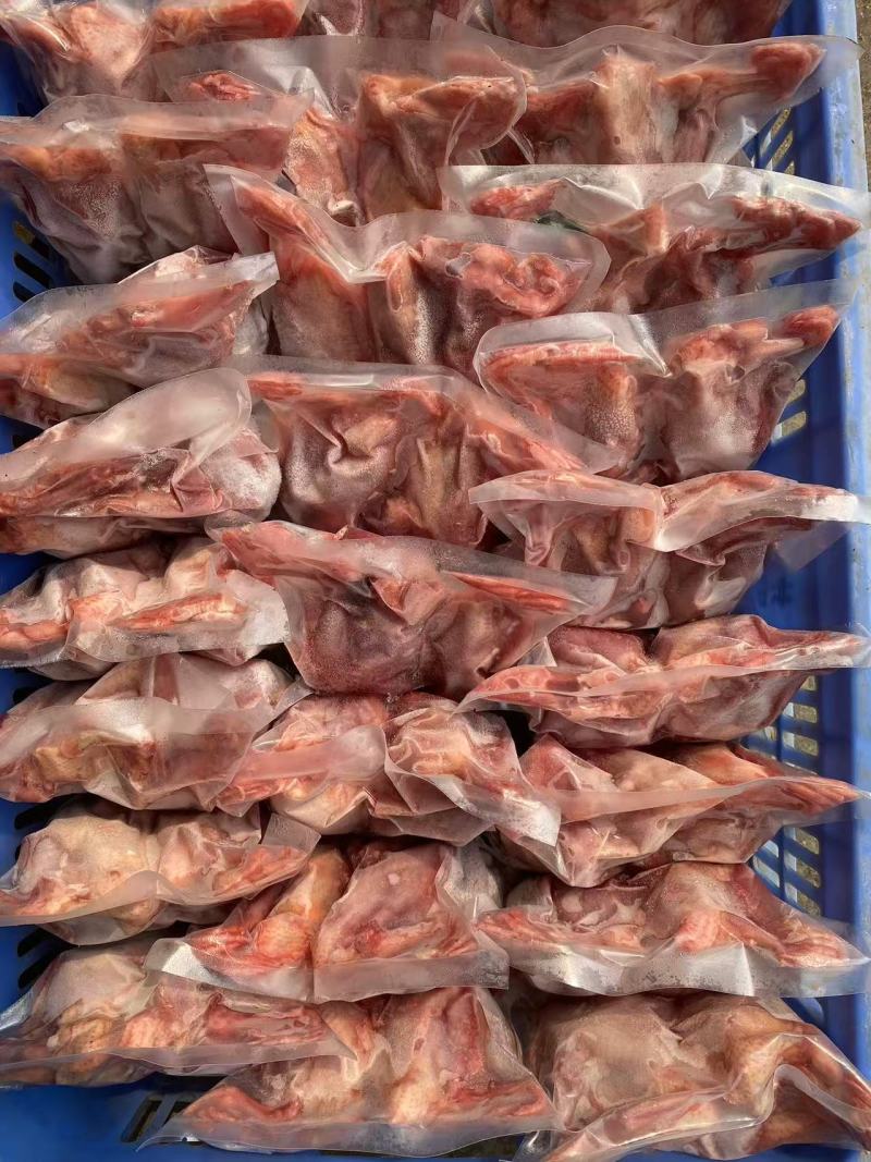 广东家养鸽子/精品乳鸽/规格齐全/量大价优/欢迎下单