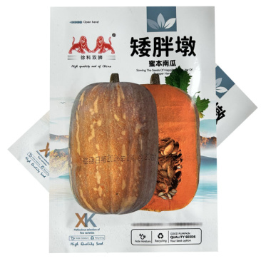 矮胖墩蜜本南瓜种子早熟皮粉红色口感粉糯留瓜多