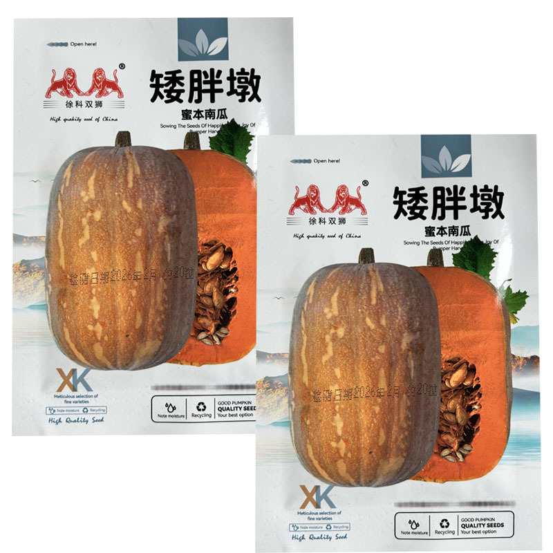 矮胖墩蜜本南瓜种子早熟皮粉红色口感粉糯留瓜多