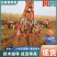 《巨峰葡萄苗》昌黎葡萄苗/基地直供/保证纯度/可签合同