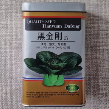 黑金刚矮萁青种子油亮矮脚墨绿叶苏州青种籽青梗菜大青菜鲜嫩