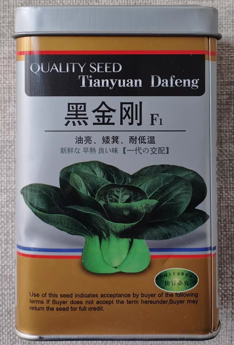 黑金刚矮萁青种子油亮矮脚墨绿叶苏州青种籽青梗菜大青菜鲜嫩