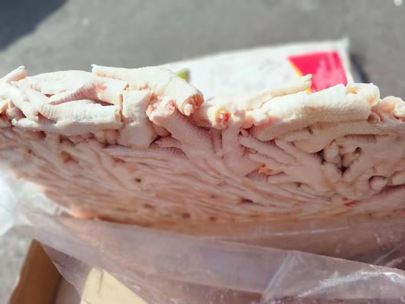 精品永爱泰爪大量供应厂家直发价格优惠欢迎来电洽谈