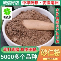 砂仁粉品质保证价格优惠欢迎来电洽谈也可以直接下单