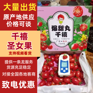 千禧圣女果广东茂名圣女果产地一手货源对接电商市场等