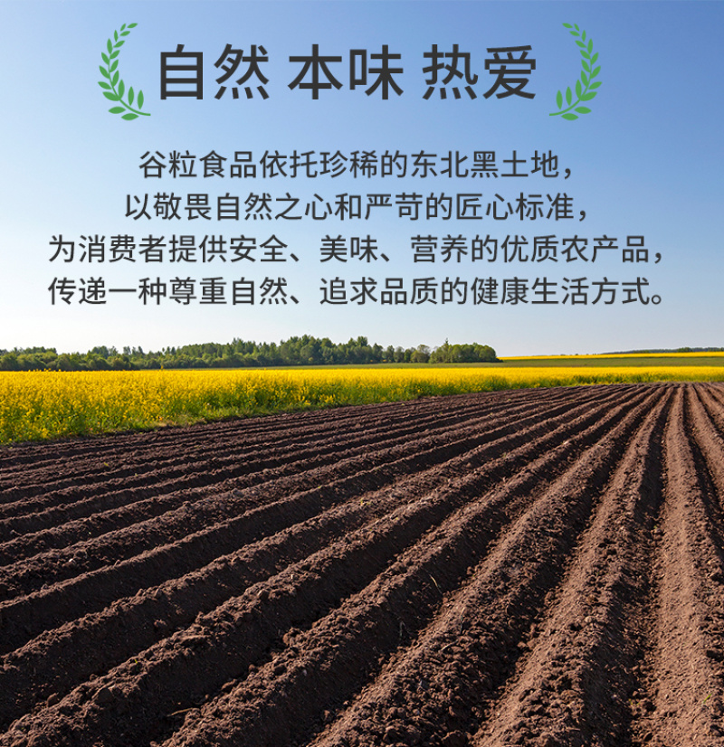 有机小米黄小米小黄米东北小米罐装新米粗粮五谷杂粮批发代发
