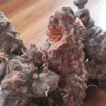 云南野生土茯苓，鲜货红肉块茎基地直供量大从优