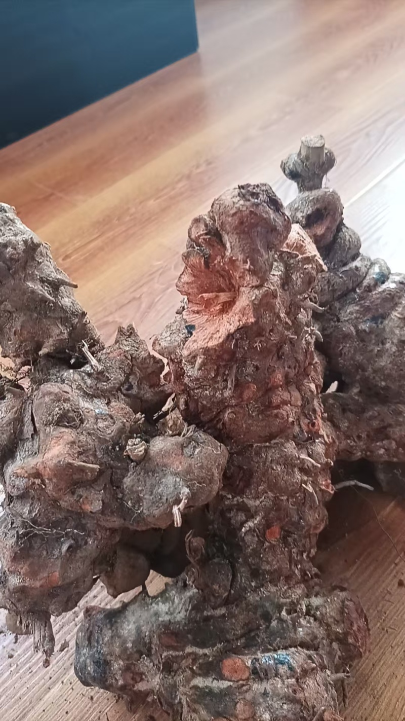 云南野生土茯苓，鲜货红肉块茎基地直供量大从优